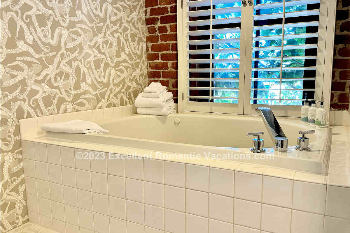 Santa Barbara Luxury Massage Bathtub